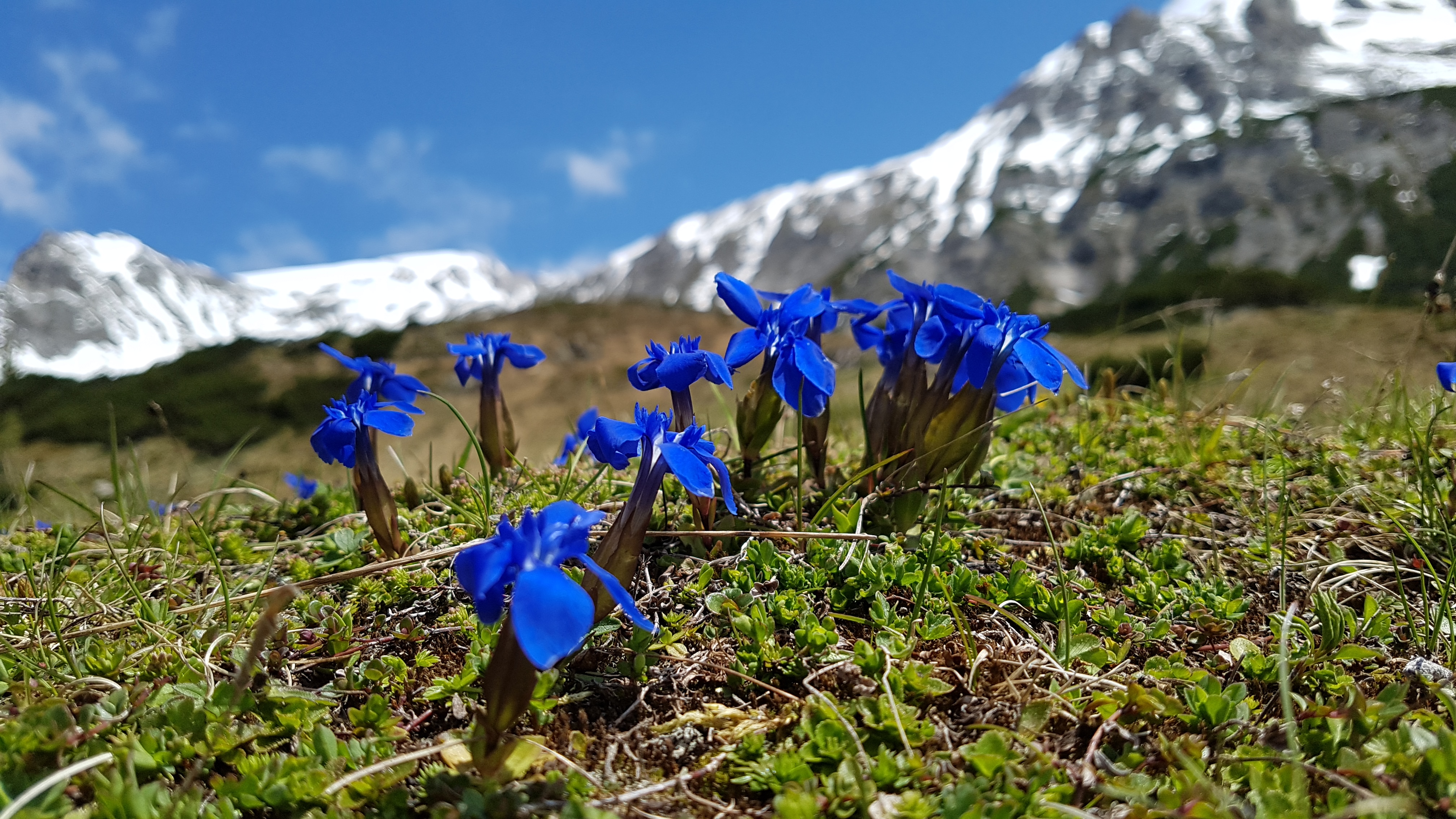 Wanderung